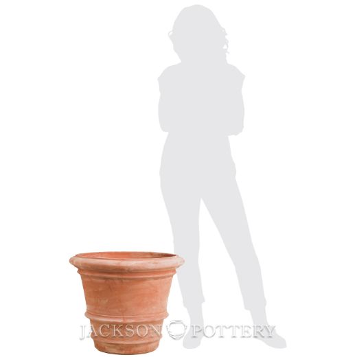 Picture of HI-12-F Tuscan Roll Rim, 23.5 in.