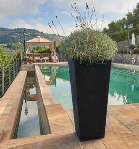 Picture for category Resin