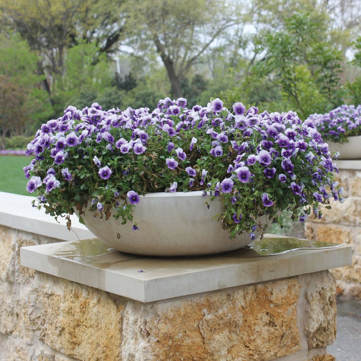 Picture of JCS-86578 Modern Bowl Planter, 33 in.