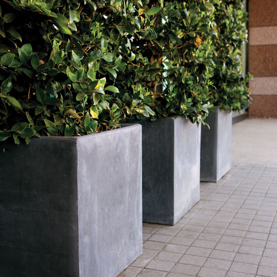 Picture of JCS-86455 Cube Planter, 21 in.