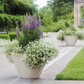 Picture for category CONTEMPORARY