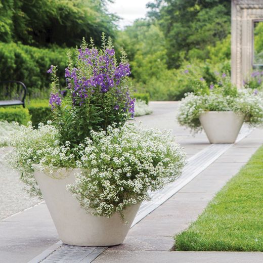 Picture for category CONTEMPORARY